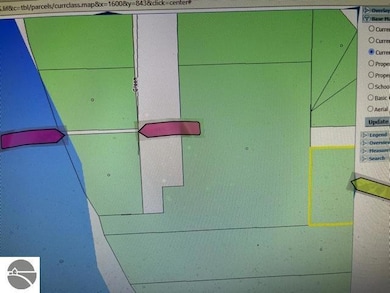 00 E State St, Central Lake, MI 49622 - photo 5