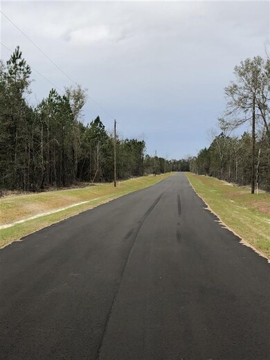 6 Ridge Ct, Crawfordville, FL 32327 - photo 4