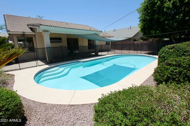 Great Pool... Great Yard!