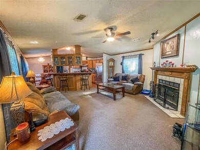 3038 De Leon Dr, Weatherford, TX 76087 - photo 3