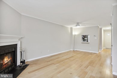 1603 S Barton St unit 29, Arlington, VA 22204 - photo 2