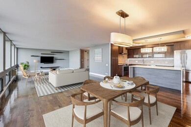 1110 N Lake Shore Dr unit 3N, Chicago, IL 60611 - photo 4
