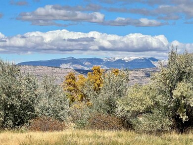 48933 Gaia Dr, Mesa, CO 81643 - photo 7