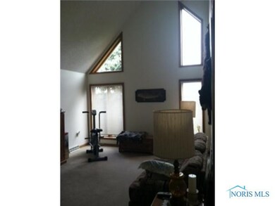 17776 W Moline Martin Rd, Graytown, OH 43432 - photo 4