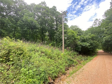 1554 Nc 6020 Rd, Jasper, AR 72641 - photo 4