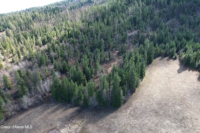 Tract 5 Thimbleberry Ln, Plummer, ID 83851 - photo 2