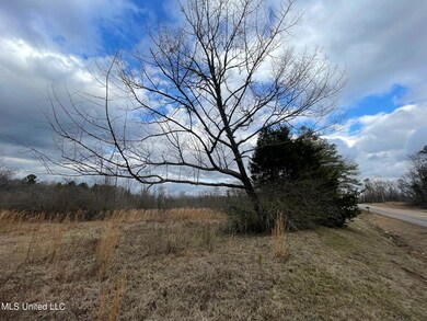 IMG_8385