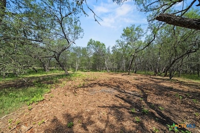 240 -A Caney Creek Rd, New Braunfels, TX 78130 - photo 2
