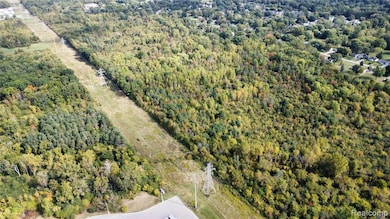 000 Howe Rd, Flint, MI 48519 - photo 5