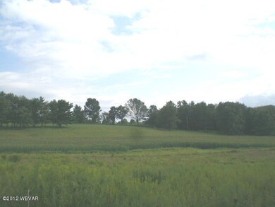 915 Lockard Rd, Pennsdale, PA 17756 - photo 5