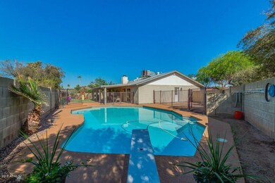 Paradise pool