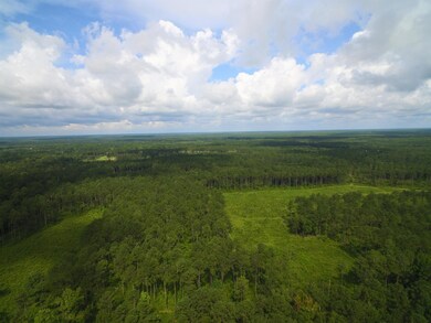 193 Northwood Ln, Crawfordville, FL 32327 - photo 7