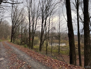 2359 Sessions Hill Rd, Homer, NY 13077 - photo 5