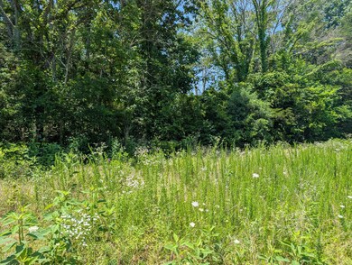 PXL_20250610_180954884