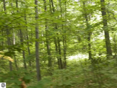 NA Canton Trail, West Branch, MI 48661 - photo 6