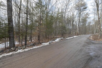 TBD Henry Rd, Georgetown, ME 04548 - photo 3