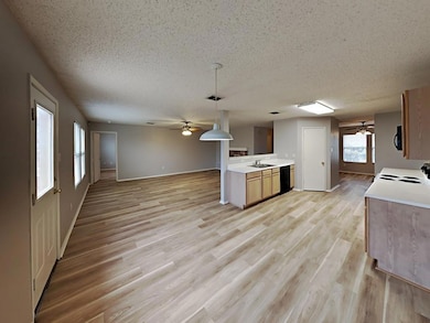 612 Gunters Mountain Ln, Wylie, TX 75098 - photo 4