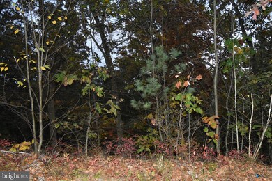 0 Hobbie, Drums, PA 18222 - photo 5