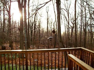Patio/Deck