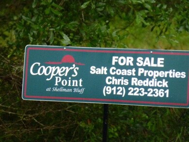 415 Blackberry Ln NE, Shellman Bluff, GA 31331 - photo 3