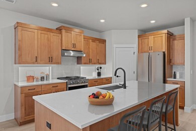 TS31-Wembley-F-Classic-Kitchen