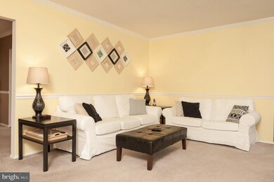 1116 Neptune Place, Annapolis, MD 21409 - photo 7