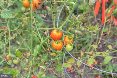 368 Eskimo Hill Rd, Stafford, VA 22554 - photo 7