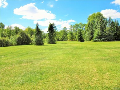 Private backyard with plenty of space.