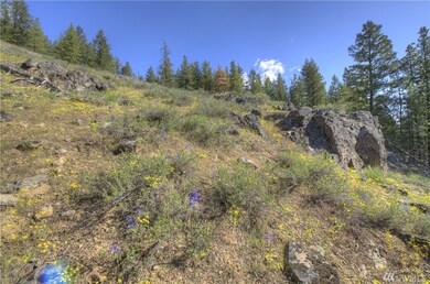 1110 Twisp River Rd, Twisp, WA 98856 - photo 3