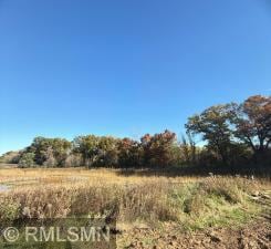 10484 56th Place N, Lake Elmo, MN 55042 - photo 4