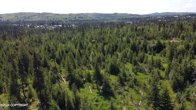 DJI_0852