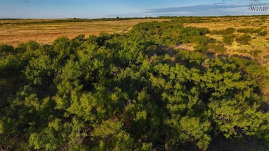 0 State Highway 25, Electra, TX 76360 - photo 3