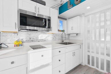 941 Bayfield Pkwy unit 6, Bayfield, CO 81122 - photo 6