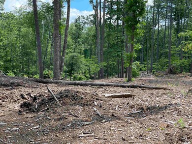 00 Jack Russell Rd unit 408-45-2, Effingham, NH 03882 - photo 5