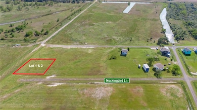 Lot 1-2 Mocking Bird Ln, Anahuac, TX 77514 - photo 5