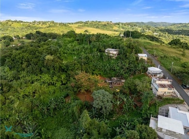 Km 9.2 Carr 352, Mayaguez, PR 00683 - photo 2