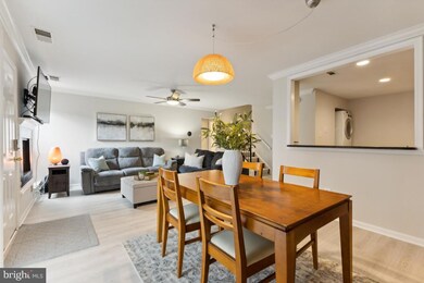 3859 El Camino Place unit 2, Alexandria, VA 22309 - photo 6