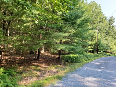 Lot 799 Tink Wig Dr, Lackawaxen Township, PA 18428 - photo 2