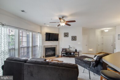 7270 Darby Downs unit M, Elkridge, MD 21075 - photo 7