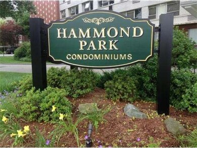 Hammond Park Condominiums unit 17, Chestnut Hill, MA 02467 - photo 2