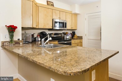 The Clara Barton at Penn Quarter unit 521, Washington, DC 20004 - photo 7