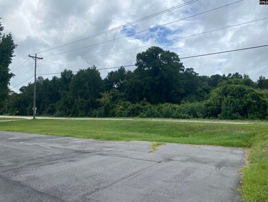 0 Charleston Hwy unit 614830, Orangeburg, SC 29115 - photo 2