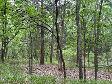 Lot 369 Polaris Dr, Corsicana, TX 75109 - photo 7