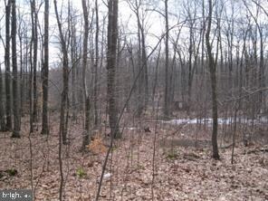 183 Barons Hill Rd, Honey Brook, PA 19344 - photo 2