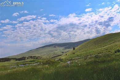 TBD Highway 9, Guffey, CO 80820 - photo 6