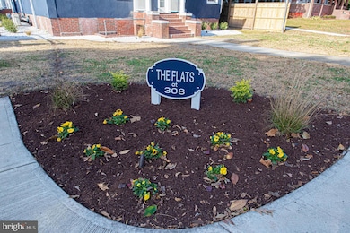 308 N Division St unit 5, Salisbury, MD 21801 - photo 3