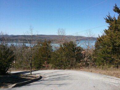 000 Terrace Park Rd, Ruth B Rural Township, MO 65686 - photo 3