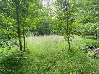 Lewis Land