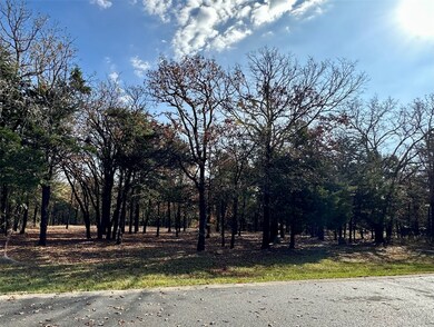 34D Dove Canyon Dr, Gordonville, TX 76245 - photo 2