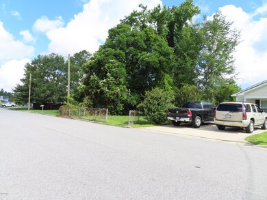 227 E Hammond St, Winterville, NC 28590 - photo 5